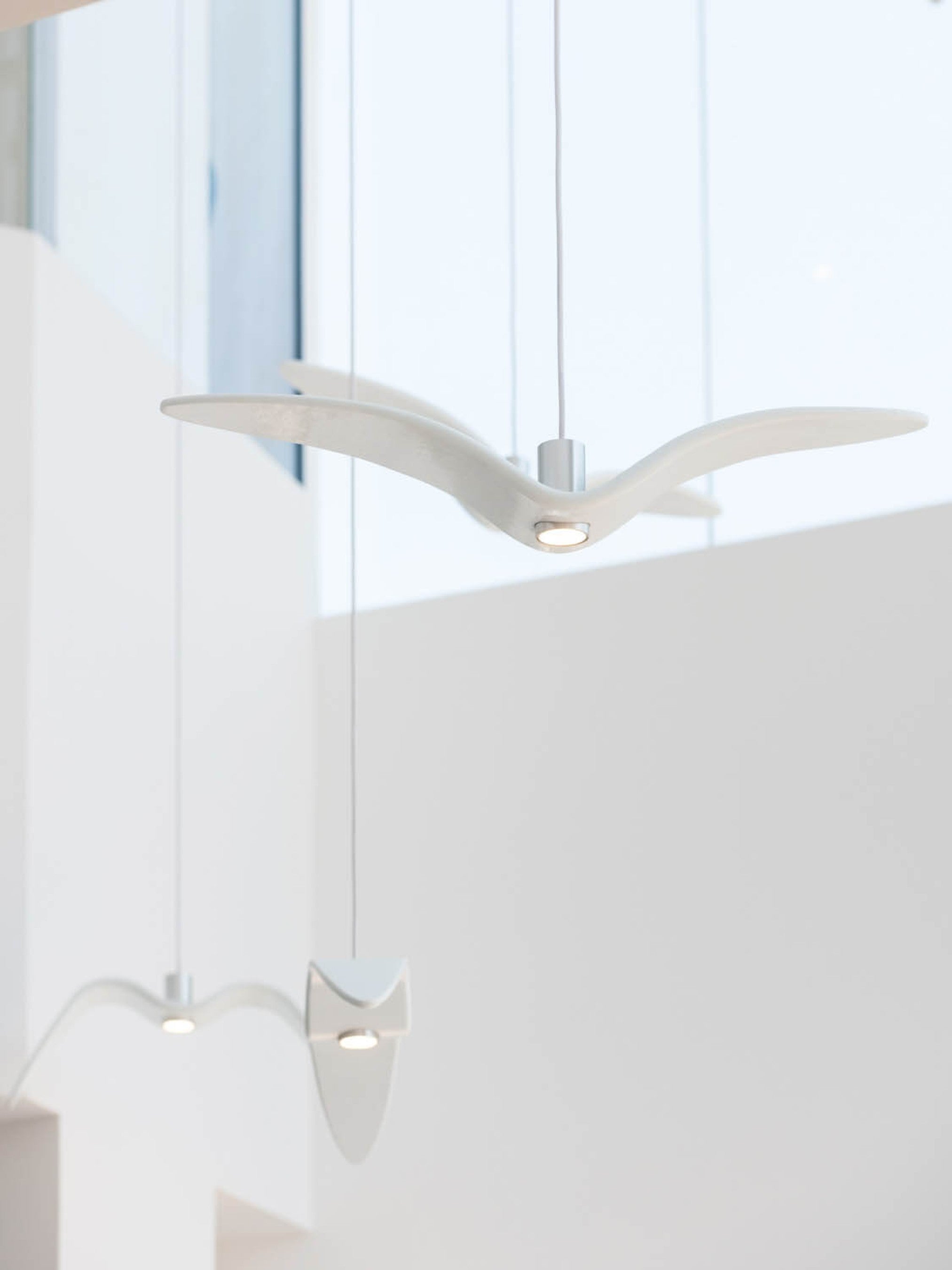 NIGHT BIRDS PC962 - Pendant Light