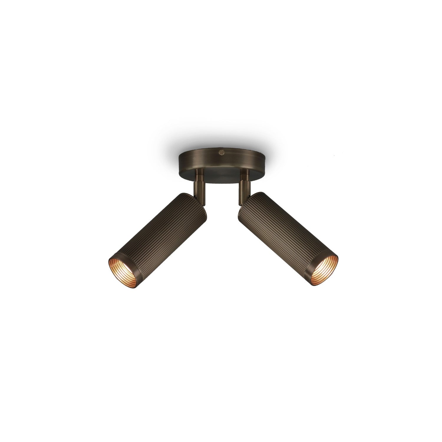 SPOT DOUBLE - Celing Light