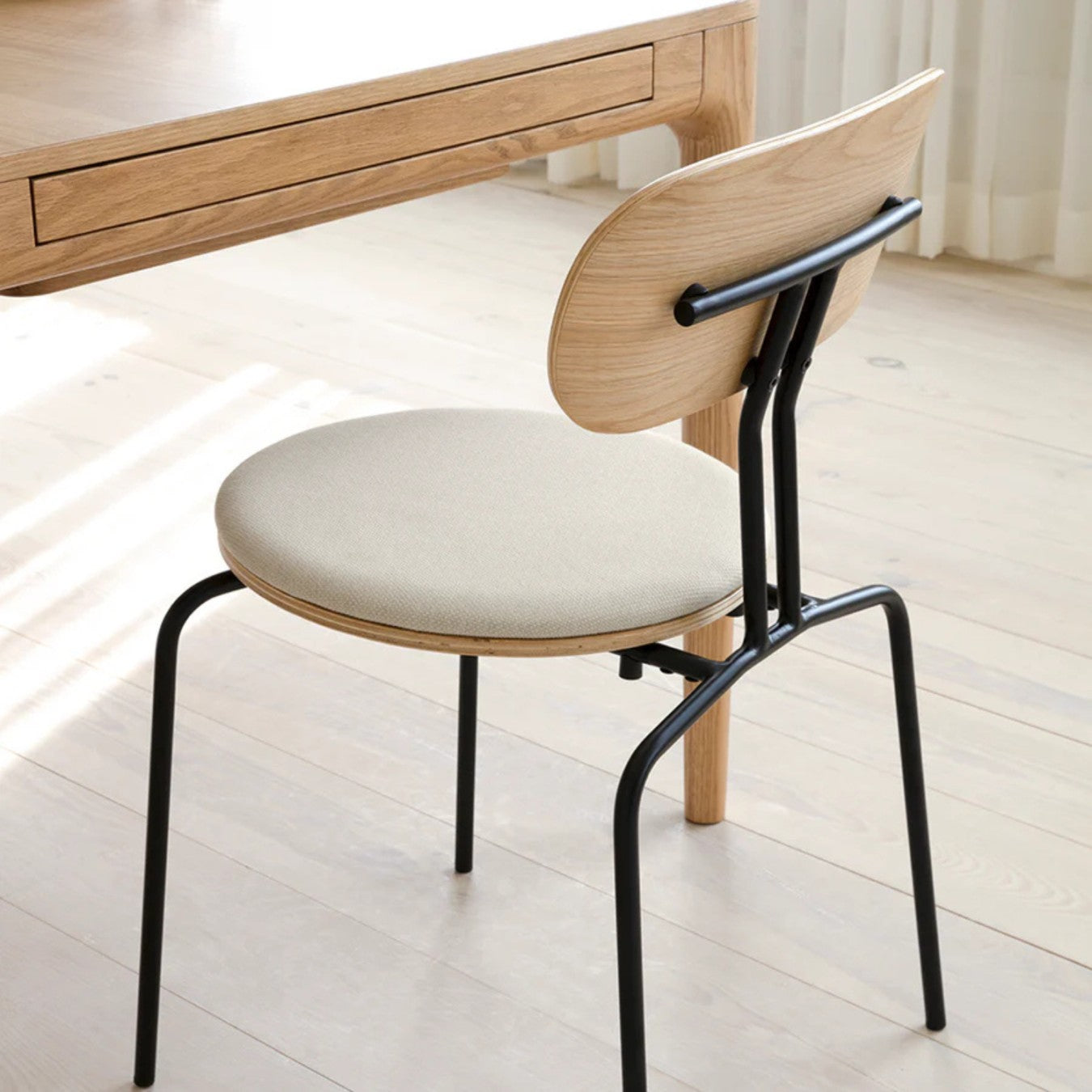 CURIOUS - Dining Chair