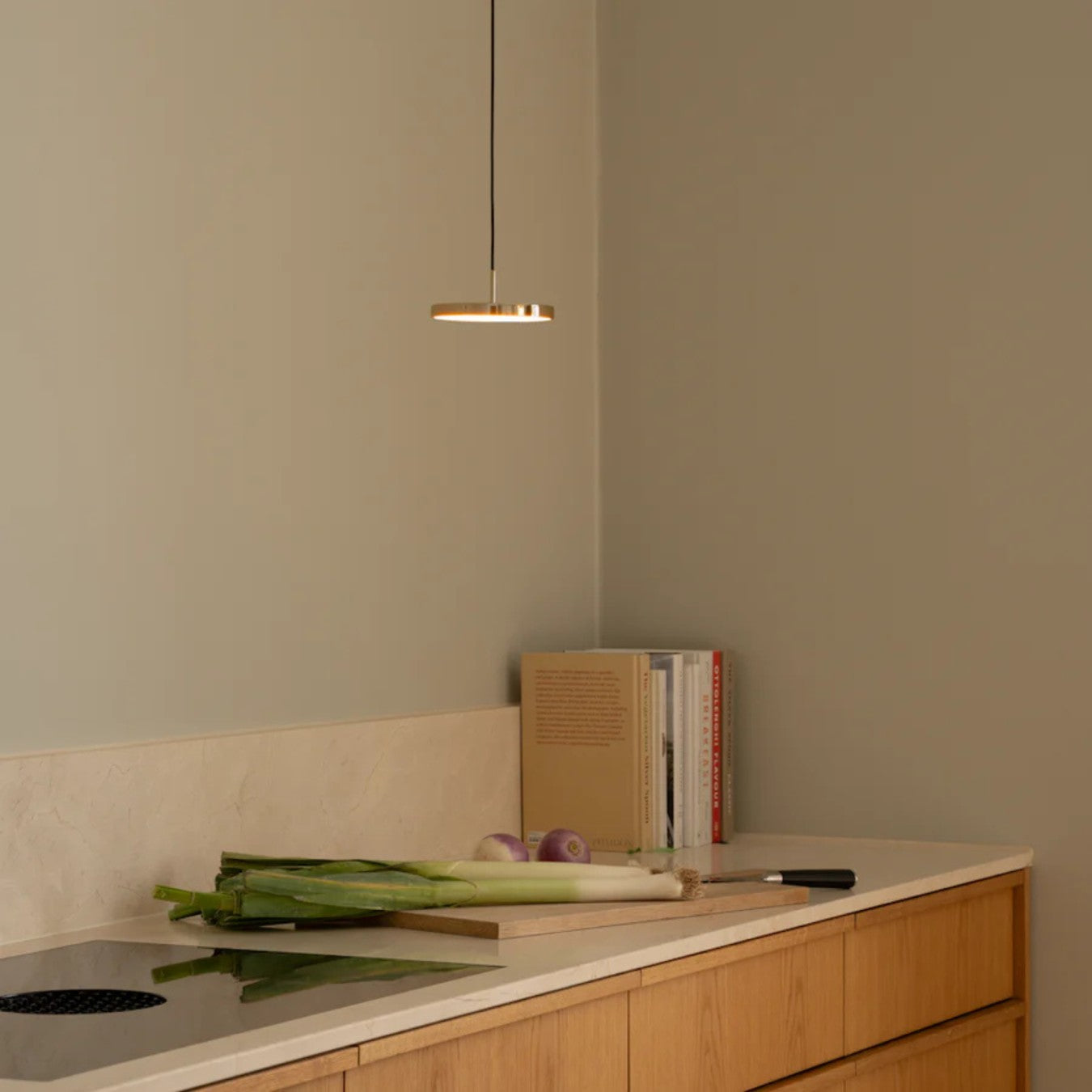 ASTERIA MICRO MONOCHROME - Pendant Light