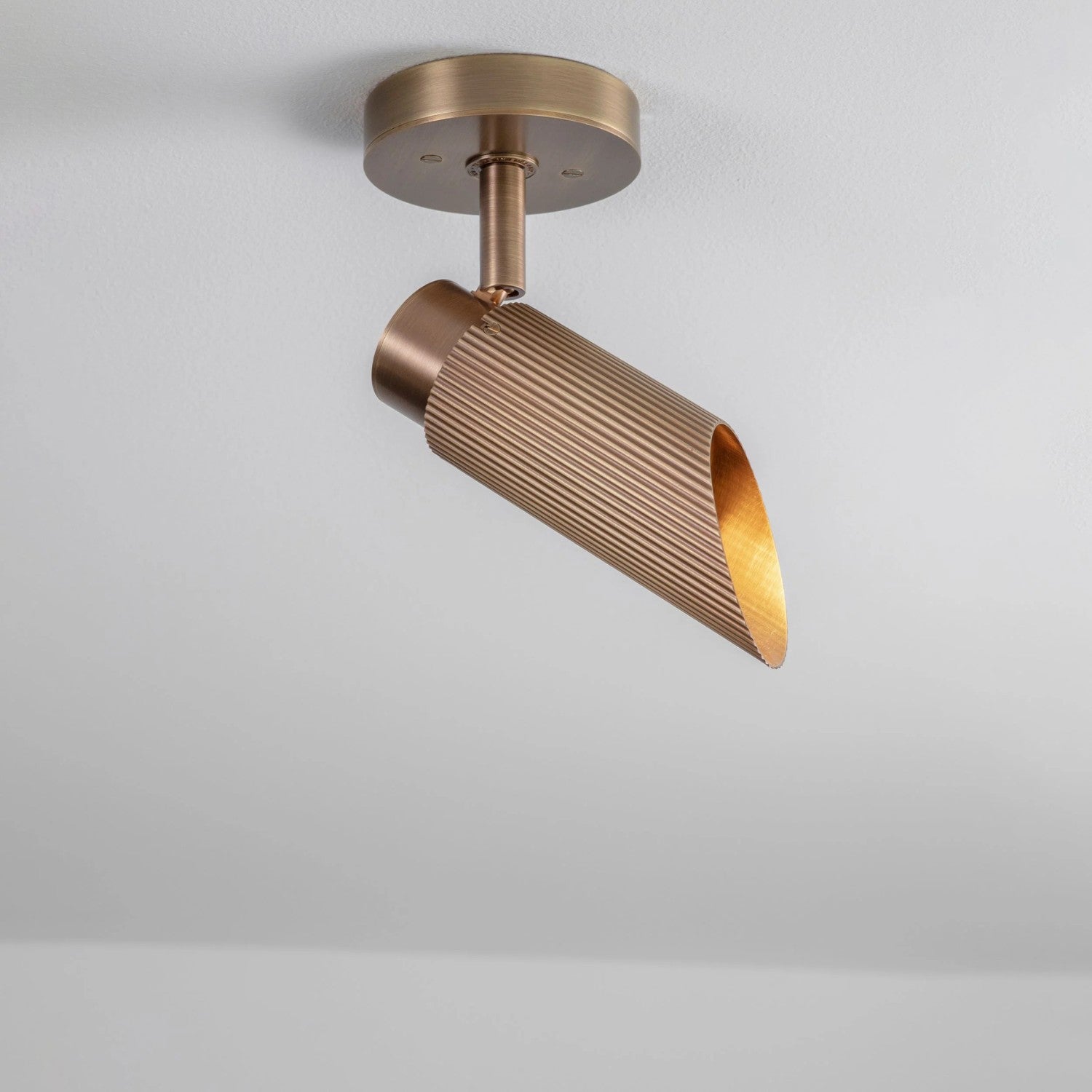 SPOT PRO - Ceiling Light