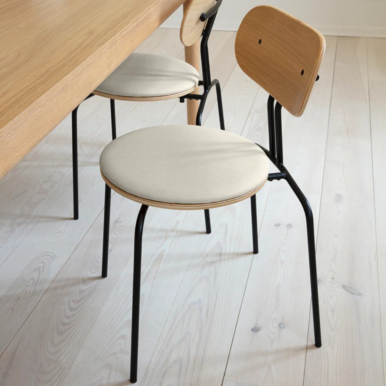 CURIOUS - Dining Chair