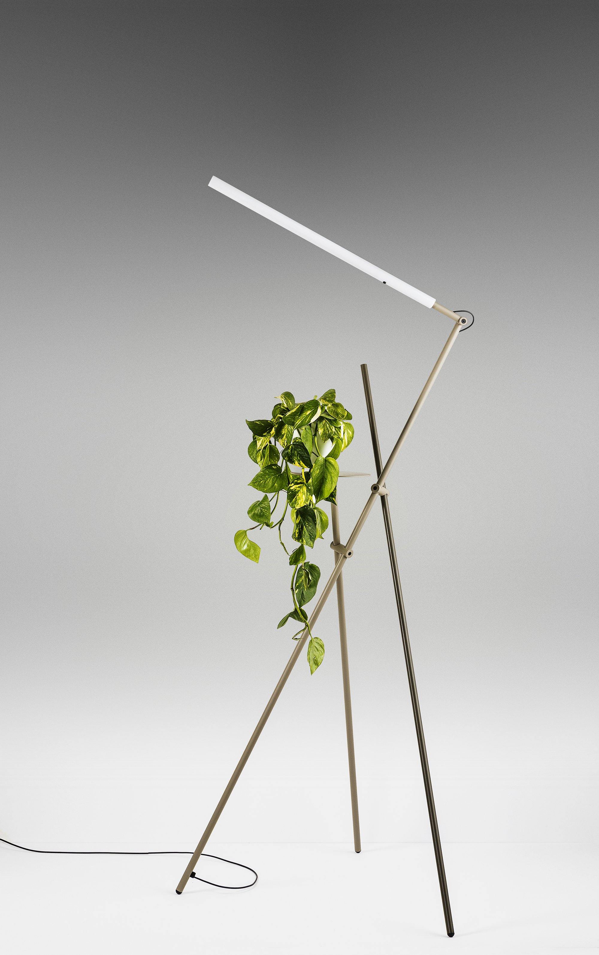 ASANA - Floor Lamp - Luminesy