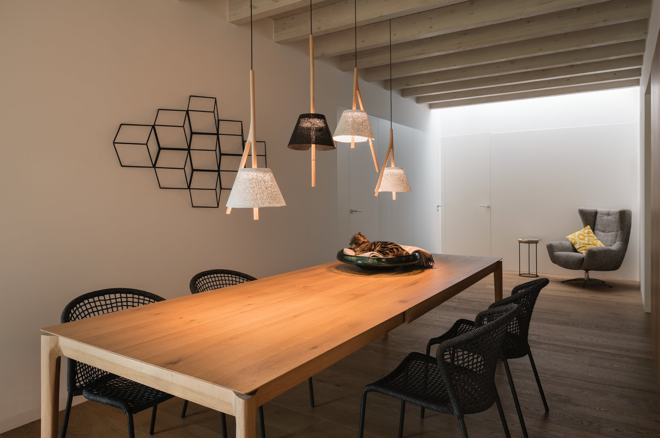 CAMBO 2 G - Pendant Light