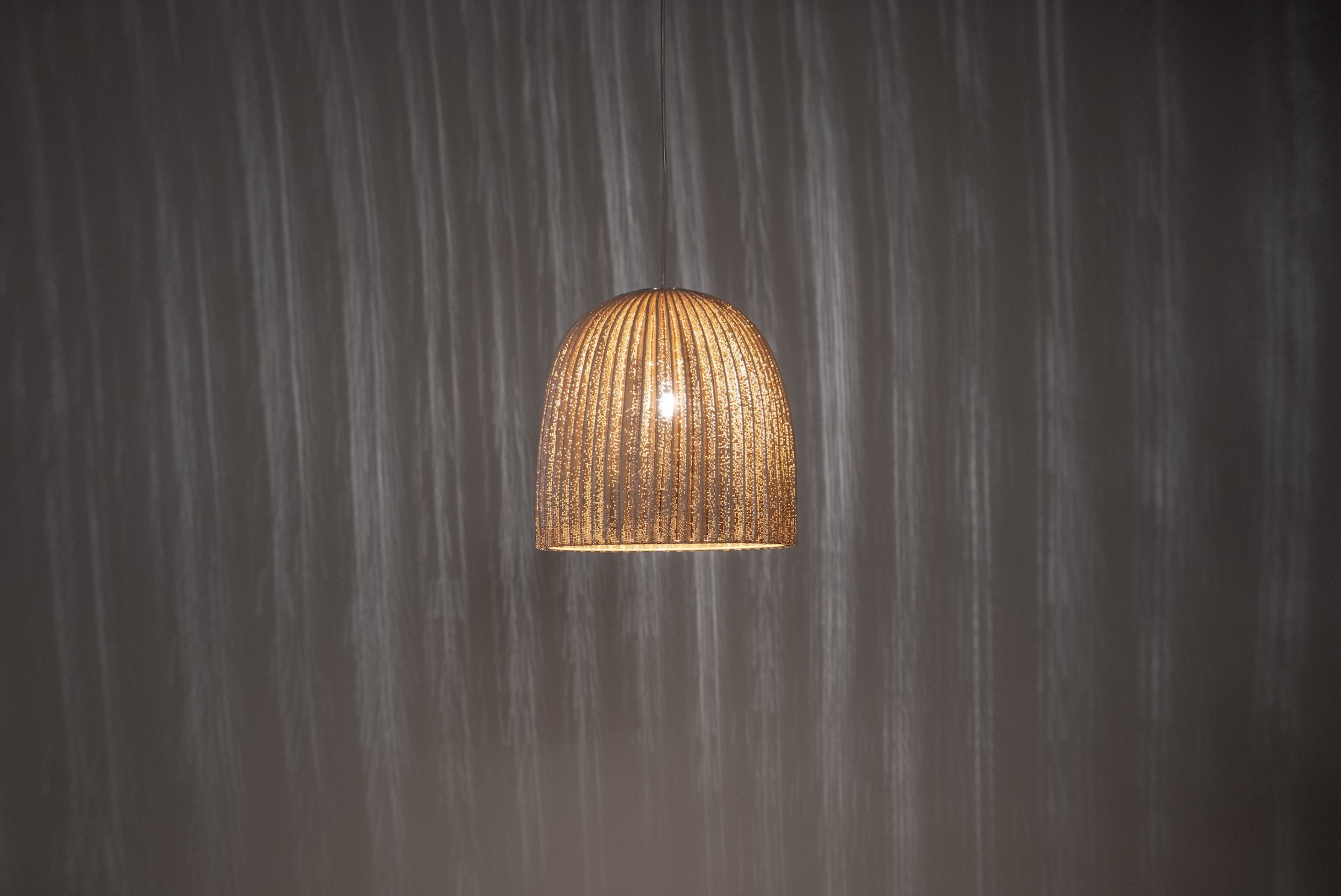 ONN 1 - Pendant Light